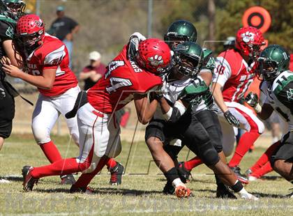 Thumbnail 1 in Big Bear vs. Twentynine Palms photogallery.