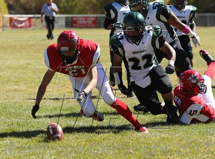 Thumbnail 1 in Big Bear vs. Twentynine Palms photogallery.