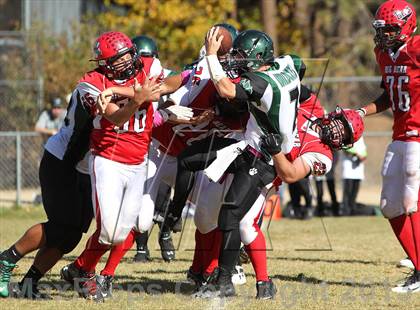 Thumbnail 2 in Big Bear vs. Twentynine Palms photogallery.