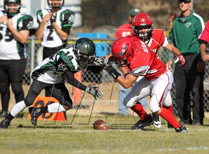 Thumbnail 2 in Big Bear vs. Twentynine Palms photogallery.