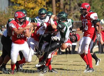 Thumbnail 3 in Big Bear vs. Twentynine Palms photogallery.