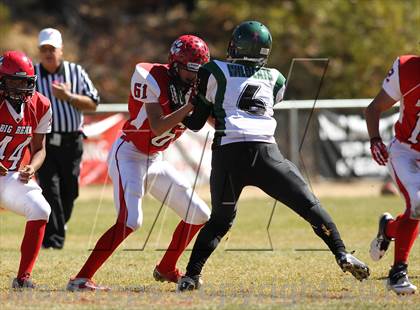 Thumbnail 1 in Big Bear vs. Twentynine Palms photogallery.