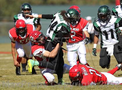 Thumbnail 3 in Big Bear vs. Twentynine Palms photogallery.