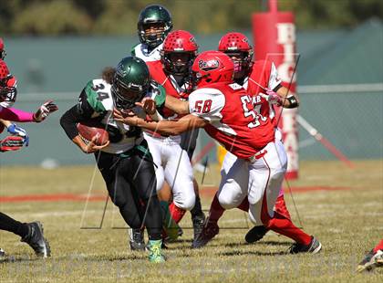 Thumbnail 3 in Big Bear vs. Twentynine Palms photogallery.