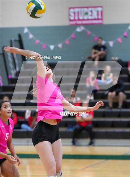 Thumbnail 2 in Miami @ San Tan Charter photogallery.