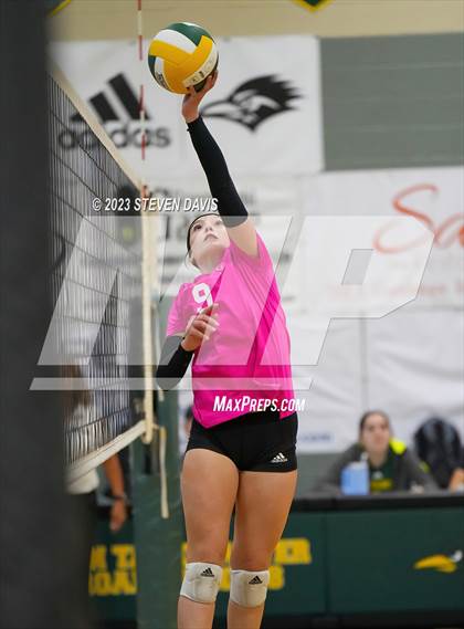Thumbnail 2 in Miami @ San Tan Charter photogallery.