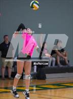 Photo from the gallery "Miami @ San Tan Charter"