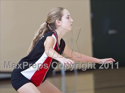 Thumbnail 1 in West Shores @ Marywood-Palm Valley photogallery.