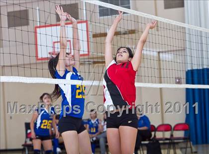 Thumbnail 2 in West Shores @ Marywood-Palm Valley photogallery.
