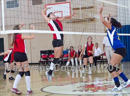 Thumbnail 1 in West Shores @ Marywood-Palm Valley photogallery.