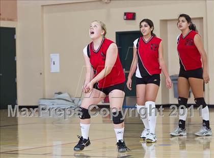 Thumbnail 1 in West Shores @ Marywood-Palm Valley photogallery.