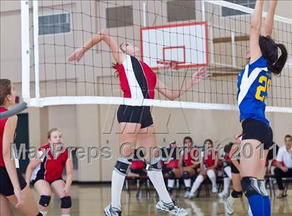 Thumbnail 2 in West Shores @ Marywood-Palm Valley photogallery.