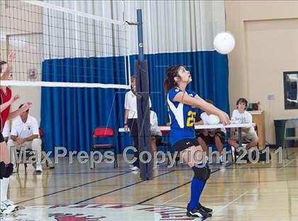 Thumbnail 3 in West Shores @ Marywood-Palm Valley photogallery.