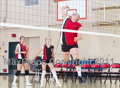 Thumbnail 3 in West Shores @ Marywood-Palm Valley photogallery.