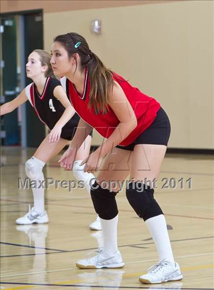 Thumbnail 3 in West Shores @ Marywood-Palm Valley photogallery.