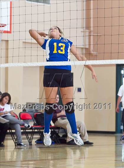 Thumbnail 1 in West Shores @ Marywood-Palm Valley photogallery.