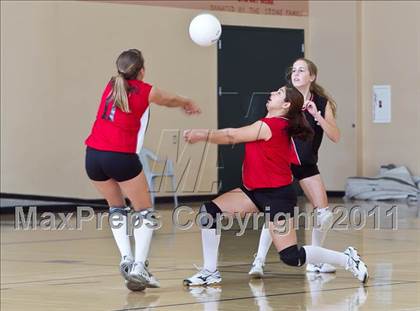 Thumbnail 1 in West Shores @ Marywood-Palm Valley photogallery.