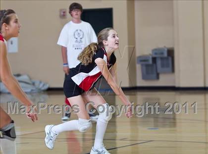 Thumbnail 3 in West Shores @ Marywood-Palm Valley photogallery.