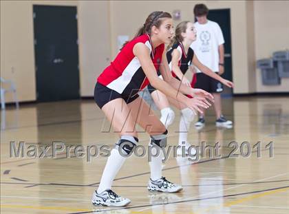 Thumbnail 2 in West Shores @ Marywood-Palm Valley photogallery.