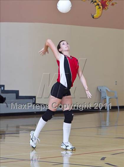Thumbnail 3 in West Shores @ Marywood-Palm Valley photogallery.