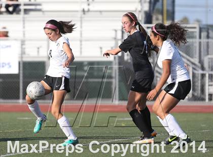 Thumbnail 1 in Citrus Valley vs. Pacifica (CIF SS D6 Final) photogallery.