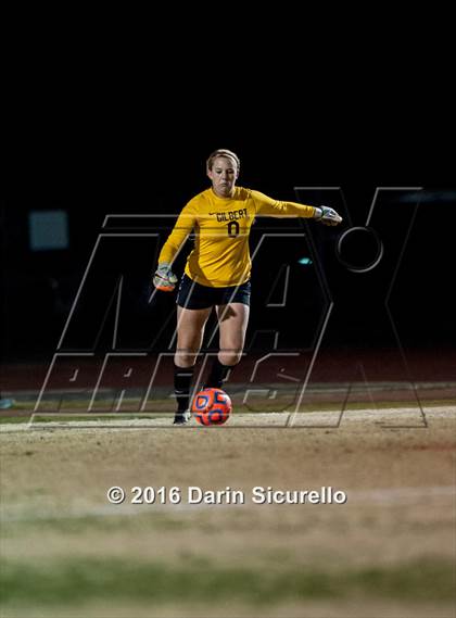 Thumbnail 3 in Gilbert @ Hamilton  (AIA Round 1 Playoff) photogallery.