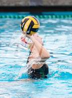Photo from the gallery "Castro Valley @ Amador Valley"