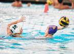Photo from the gallery "Castro Valley @ Amador Valley"