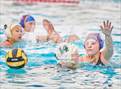 Photo from the gallery "Castro Valley @ Amador Valley"