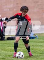 Photo from the gallery "Orem @ Alta"