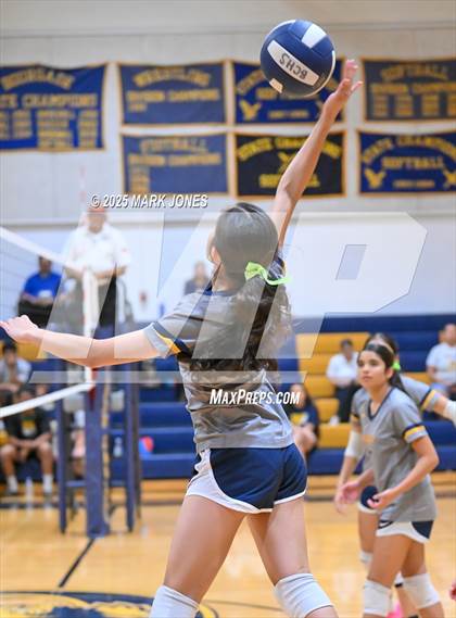 Thumbnail 1 in Gilbert Christian @ Bourgade Catholic photogallery.