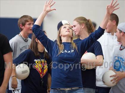 Thumbnail 1 in Ponderosa @ Chaparral photogallery.