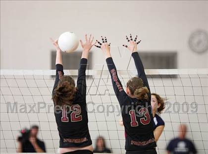 Thumbnail 2 in Ponderosa @ Chaparral photogallery.
