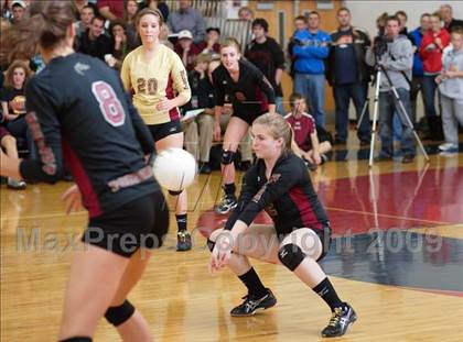 Thumbnail 2 in Ponderosa @ Chaparral photogallery.