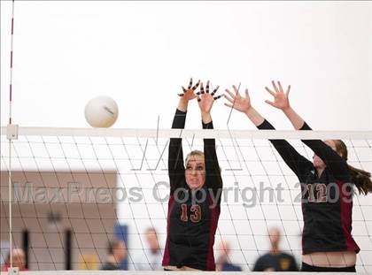 Thumbnail 2 in Ponderosa @ Chaparral photogallery.