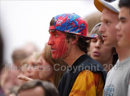 Thumbnail 2 in Ponderosa @ Chaparral photogallery.