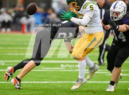 Thumbnail 3 in Richland @ Sumner photogallery.