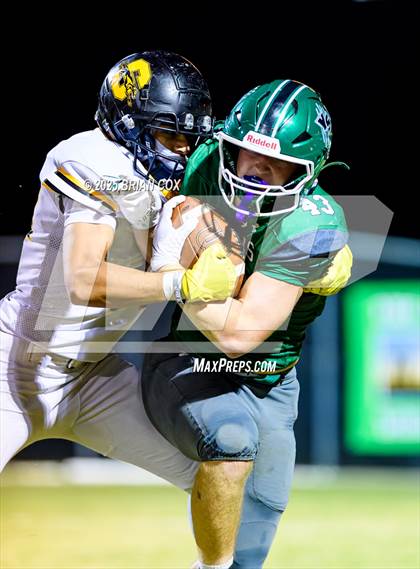 Thumbnail 3 in Salem @ Yellville-Summit photogallery.