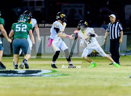 Thumbnail 3 in Salem @ Yellville-Summit photogallery.