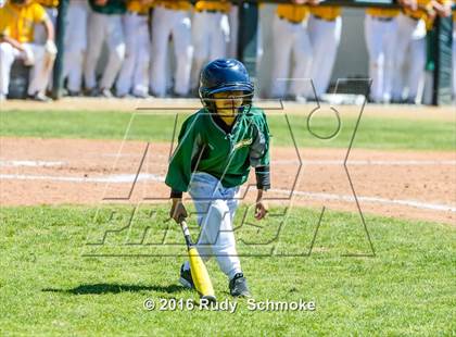 Thumbnail 2 in Highland vs. Narbonne photogallery.