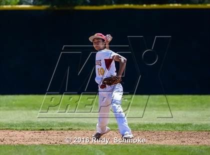 Thumbnail 1 in Highland vs. Narbonne photogallery.