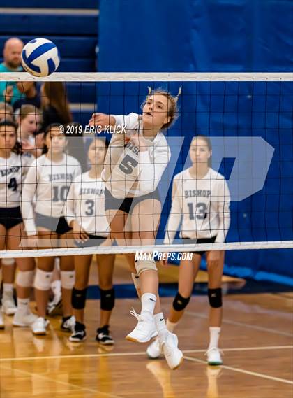 Thumbnail 1 in Steinbrenner vs Bishop McLaughlin Catholic (Bishop McLaughlin JV Tournament) photogallery.