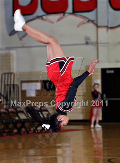 Saturday, Nov 20, 2010