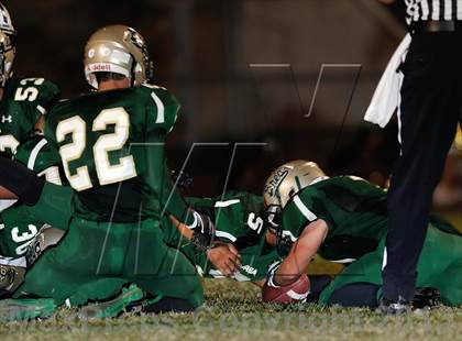 Thumbnail 1 in Sonora @ Brea Olinda photogallery.
