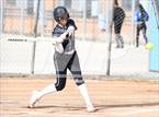Photo from the gallery "Highland @ Quartz Hill"