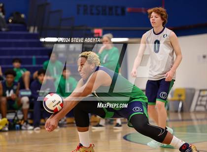 Thumbnail 2 in Regis Jesuit @ Overland photogallery.