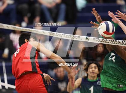 Thumbnail 1 in Regis Jesuit @ Overland photogallery.