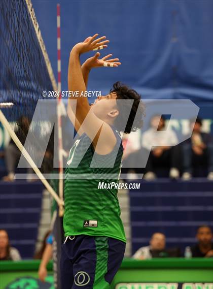 Thumbnail 1 in Regis Jesuit @ Overland photogallery.