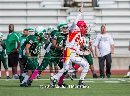 Thumbnail 3 in Cathedral Catholic @ Lincoln photogallery.