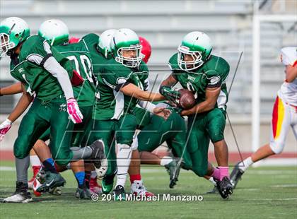 Thumbnail 1 in Cathedral Catholic @ Lincoln photogallery.